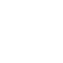 Bluefins Dragon Boat & Outrigger Canoeing Club logo