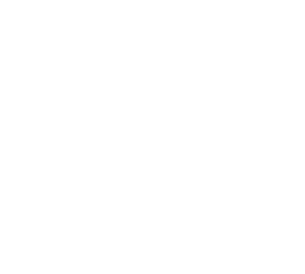 brain + body health